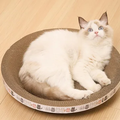 Griffoir pour Chat Planche À Gratter pour Chat Griffoir Griffoir pour Chat Planche À Gratter pour Chat Griffoir