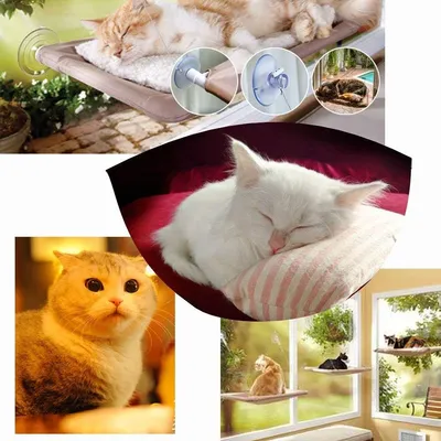 Hamac de Chat monté sur la fenêtre pour la Perche du Chat, lit Suspendu Hamac de Chat monté sur la fenêtre pour la Perche du Chat, lit Suspendu