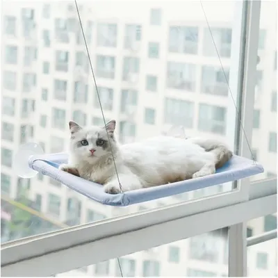 Hamac de Chat monté sur la fenêtre pour la Perche du Chat, lit Suspendu Hamac de Chat monté sur la fenêtre pour la Perche du Chat, lit Suspendu