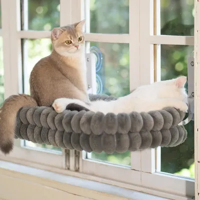 Lit pour Chat Fenêtre avec Support en Métal, Lit pour Chat Suspendu Solide Lit pour Chat Fenêtre avec Support en Métal, Lit pour Chat Suspendu Solide