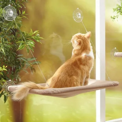 Hamac de Chat monté sur la fenêtre pour la Perche du Chat, lit Suspendu Hamac de Chat monté sur la fenêtre pour la Perche du Chat, lit Suspendu