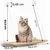 Hamac de Chat monté sur la fenêtre pour la Perche du Chat, lit Suspendu Hamac de Chat monté sur la fenêtre pour la Perche du Chat, lit Suspendu