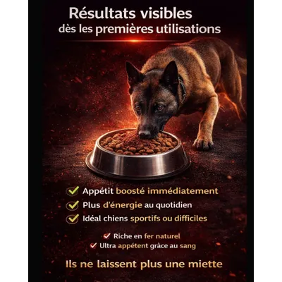 BLOODSPORT - Complément Énergétique - Énergie Intense BLOODSPORT - Complément Énergétique - Énergie Intense