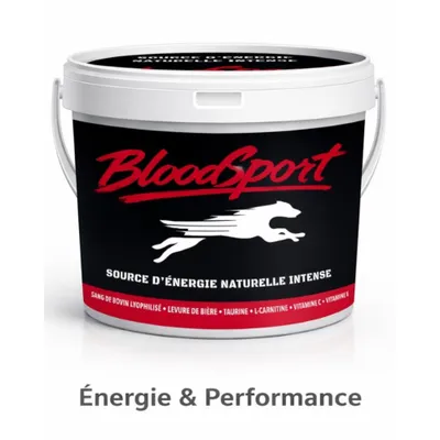 BLOODSPORT - Complément Énergétique - Énergie Intense BLOODSPORT - Complément Énergétique - Énergie Intense