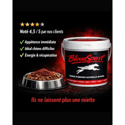 BLOODSPORT - Complément Énergétique - Énergie Intense BLOODSPORT - Complément Énergétique - Énergie Intense