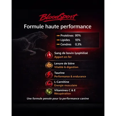 BLOODSPORT - Complément Énergétique - Énergie Intense BLOODSPORT - Complément Énergétique - Énergie Intense