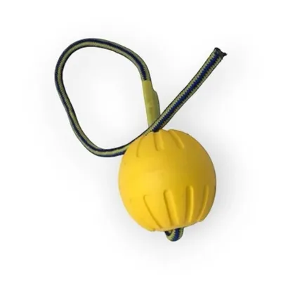 France Croquettes Balle cordée flottante pour chien