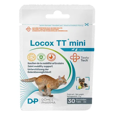 Locox TT mini Locox TT mini
