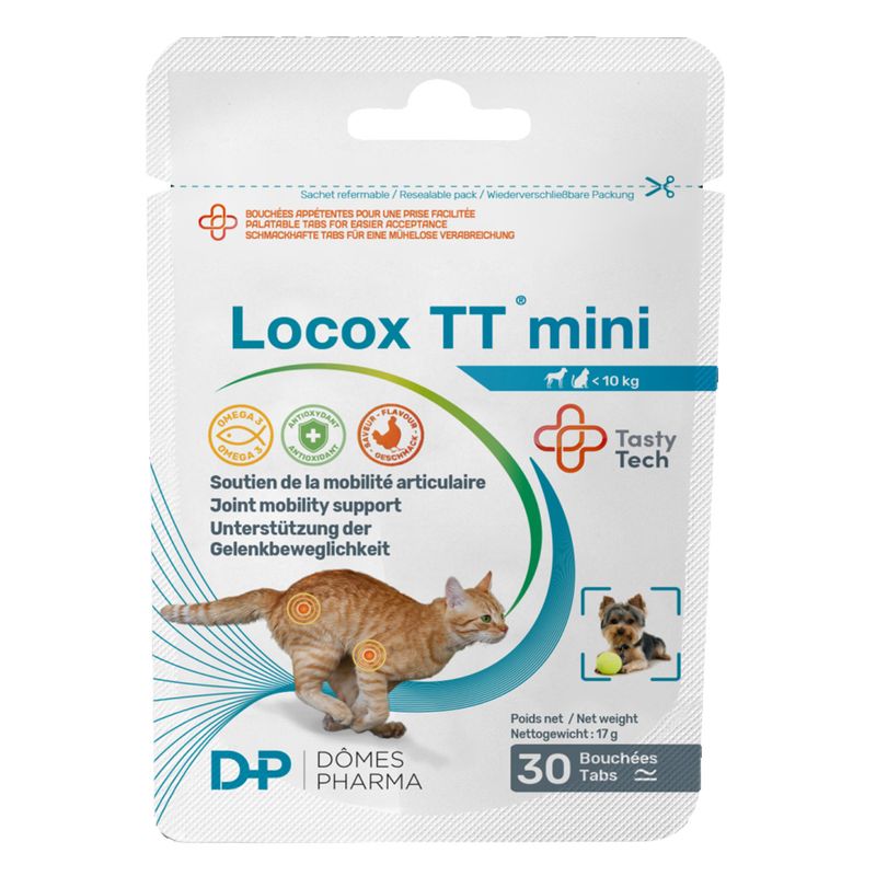 Locox TT mini