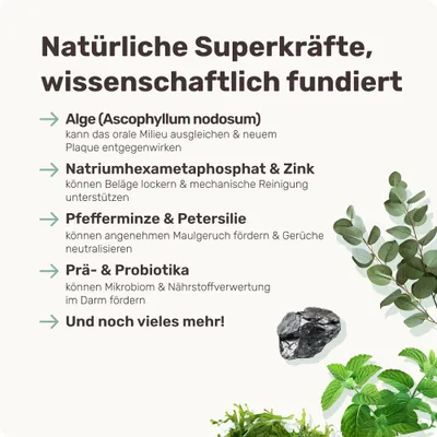 mammaly - Fresh Smile® - Zahnpflege-Snacks für Hunde