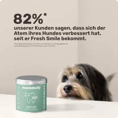 mammaly - Fresh Smile® - Zahnpflege-Snacks für Hunde