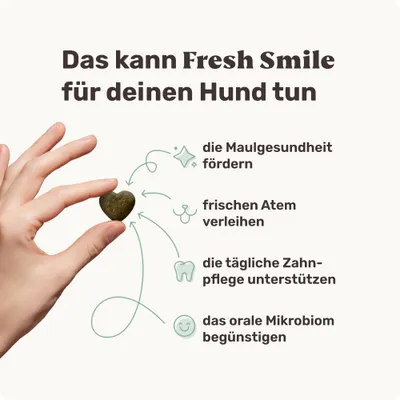 mammaly - Fresh Smile® - Zahnpflege-Snacks für Hunde