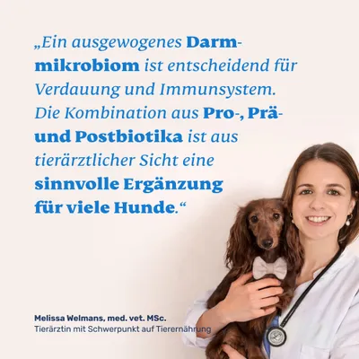 mammaly - Probiotika & Prä- & Postbiotika Pulver für Hunde mammaly - Probiotika & Prä- & Postbiotika Pulver für Hunde