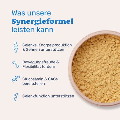 mammaly - Grünlippmuschel & MSM Pulver für Hunde