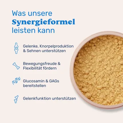 mammaly - Grünlippmuschel & MSM Pulver für Hunde mammaly - Grünlippmuschel & MSM Pulver für Hunde
