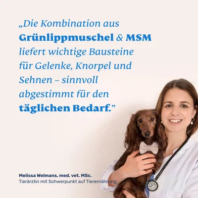 mammaly - Grünlippmuschel & MSM Pulver für Hunde mammaly - Grünlippmuschel & MSM Pulver für Hunde