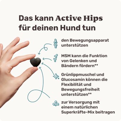 mammaly - Active Hips® - Gelenk-Snacks für Hunde