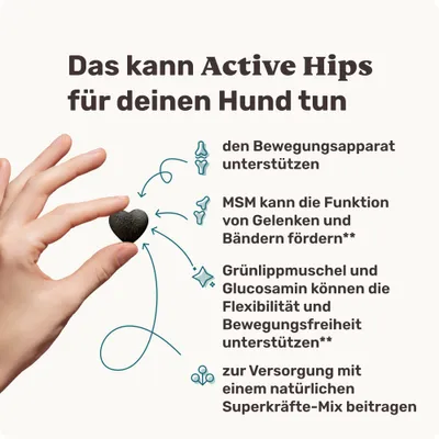 mammaly - Active Hips® - Gelenk-Snacks für Hunde mammaly - Active Hips® - Gelenk-Snacks für Hunde