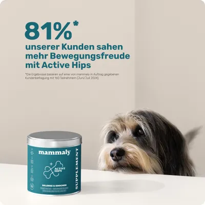 mammaly - Active Hips® - Gelenk-Snacks für Hunde mammaly - Active Hips® - Gelenk-Snacks für Hunde