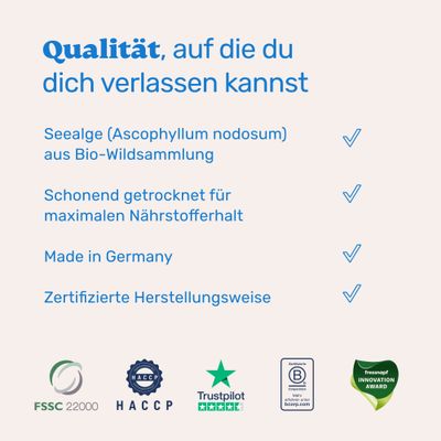 mammaly - Seealge & Zink Pulver für Hunde