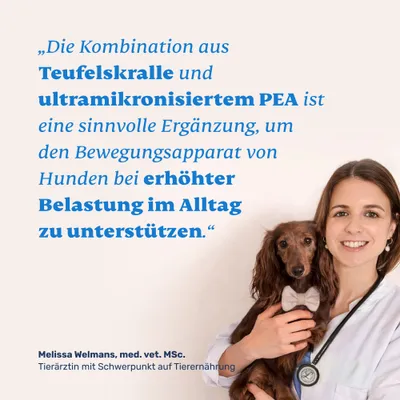 mammaly - Teufelskralle & PEA Tabletten für Hunde mammaly - Teufelskralle & PEA Tabletten für Hunde