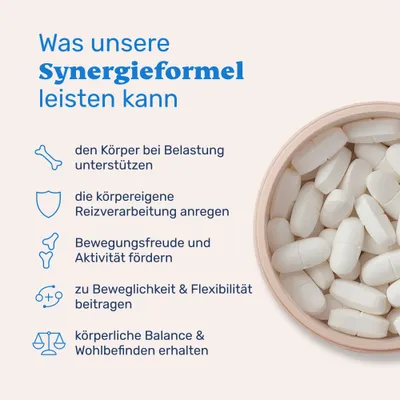 mammaly - Teufelskralle & PEA Tabletten für Hunde mammaly - Teufelskralle & PEA Tabletten für Hunde