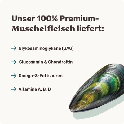mammaly - Grünlippmuschel-Drops für Hunde
