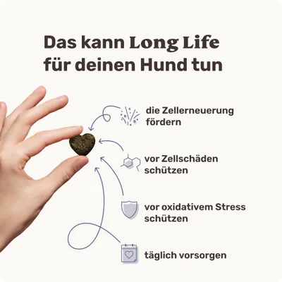 mammaly - Long Life® - Zellschutz-Snacks für Hunde