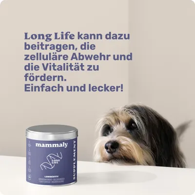 mammaly - Long Life® - Zellschutz-Snacks für Hunde