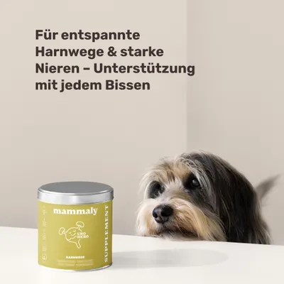 mammaly - Uro Hero® - Blase- und Nieren-Snacks für Hunde mammaly - Uro Hero® - Blase- und Nieren-Snacks für Hunde