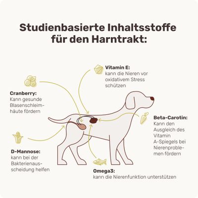 mammaly - Uro Hero® - Blase- und Nieren-Snacks für Hunde