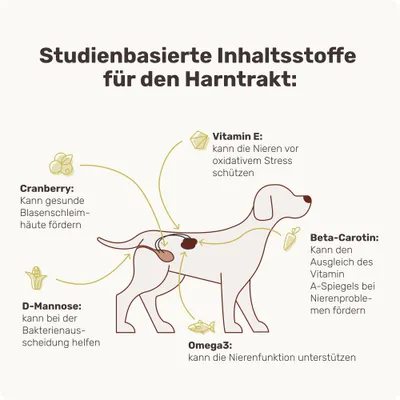 mammaly - Uro Hero® - Blase- und Nieren-Snacks für Hunde mammaly - Uro Hero® - Blase- und Nieren-Snacks für Hunde