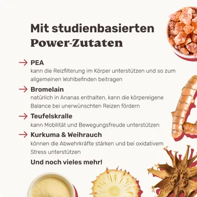 mammaly - Fire Fighter® - Extra-Support-Snacks für Hunde mammaly - Fire Fighter® - Extra-Support-Snacks für Hunde