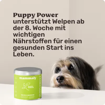 mammaly - Puppy Power® - Welpen-Snacks für Hunde