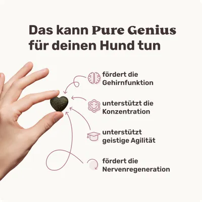 mammaly - Pure Genius® - Kognitions-Snacks für Hunde