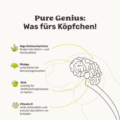 mammaly - Pure Genius® - Kognitions-Snacks für Hunde