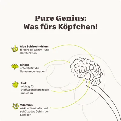mammaly - Pure Genius® - Kognitions-Snacks für Hunde