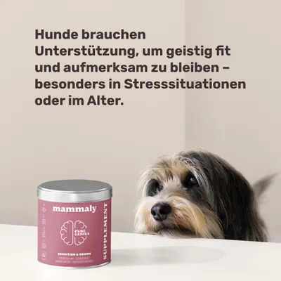 mammaly - Pure Genius® - Kognitions-Snacks für Hunde
