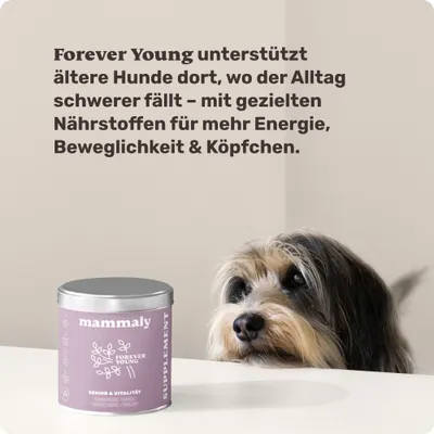 mammaly - Forever Young® - Senior-Snacks für Hunde mammaly - Forever Young® - Senior-Snacks für Hunde