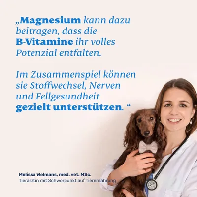 mammaly - Vitamin B Complete & Magnesium Tabletten für Hunde mammaly - Vitamin B Complete & Magnesium Tabletten für Hunde