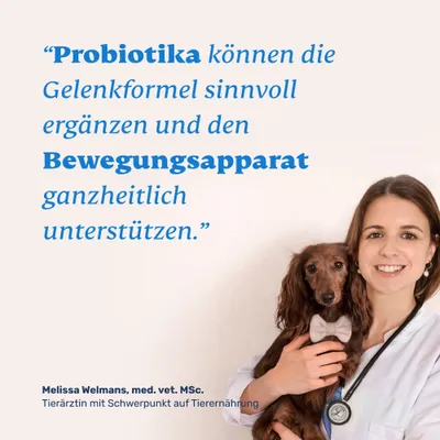 mammaly - Gelenktabletten für Hunde