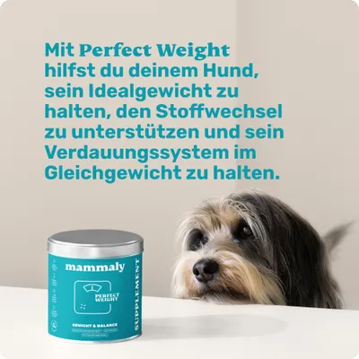 mammaly - Perfect Weight® - Gewichtsmanagement-Snacks für Hunde
