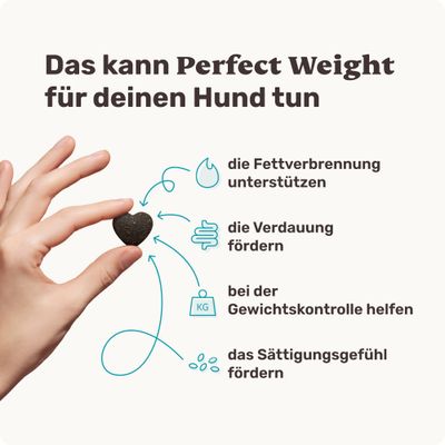 mammaly - Perfect Weight® - Gewichtsmanagement-Snacks für Hunde