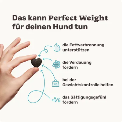 mammaly - Perfect Weight® - Gewichtsmanagement-Snacks für Hunde