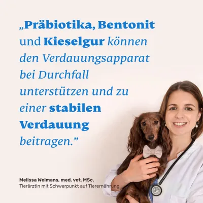 mammaly - Durchfall Akut Kautabletten für Hunde mammaly - Durchfall Akut Kautabletten für Hunde