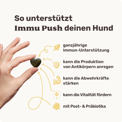 mammaly - Immu Push® - Immun-Snacks für Hunde