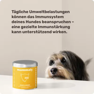mammaly - Immu Push® - Immun-Snacks für Hunde mammaly - Immu Push® - Immun-Snacks für Hunde