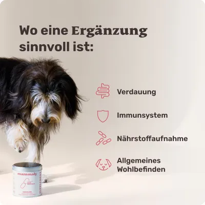 mammaly - Präbiotika-Drops für Hunde mammaly - Präbiotika-Drops für Hunde
