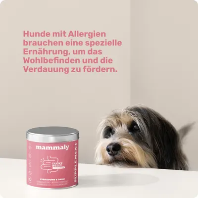 mammaly - Lucky Belly® ohne Huhn - Verdauungs-Snacks für Hunde mammaly - Lucky Belly® ohne Huhn - Verdauungs-Snacks für Hunde