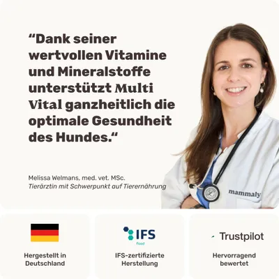 mammaly - Multi Vital® - Multivitamin-Snacks für Hunde mammaly - Multi Vital® - Multivitamin-Snacks für Hunde